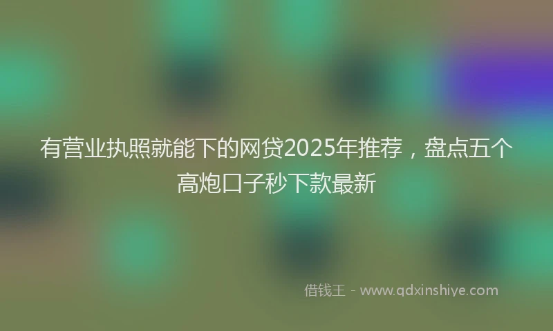 有营业执照就能下的网贷2025年推荐，盘点五个高炮口子秒下款最新