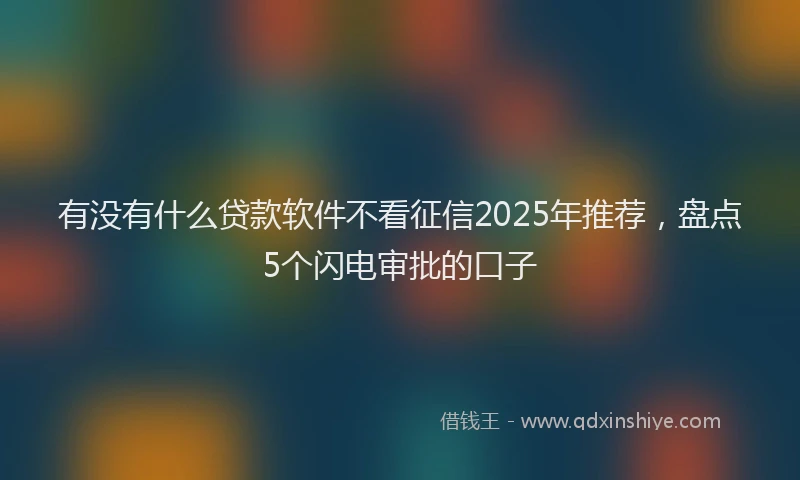 有没有什么贷款软件不看征信2025年推荐，盘点5个闪电审批的口子