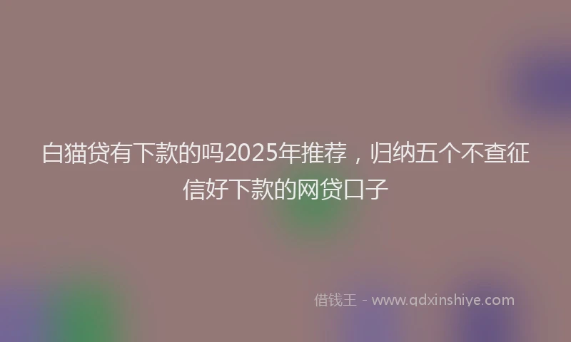 白猫贷有下款的吗2025年推荐，归纳五个不查征信好下款的网贷口子