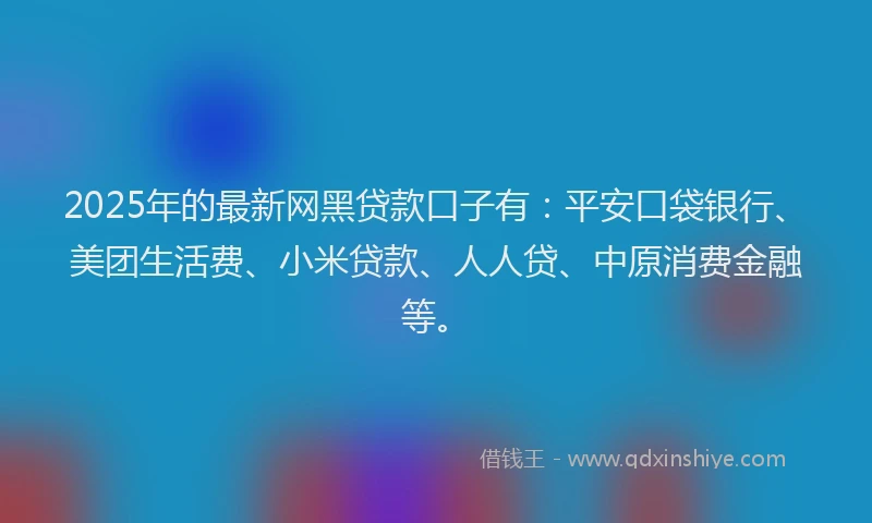 2025年的最新网黑贷款口子有：平安口袋银行、美团生活费、小米贷款、人人贷、中原消费金融等。