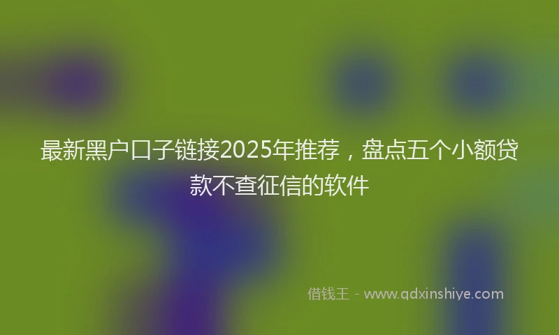 最新黑户口子链接2025年推荐，盘点五个小额贷款不查征信的软件