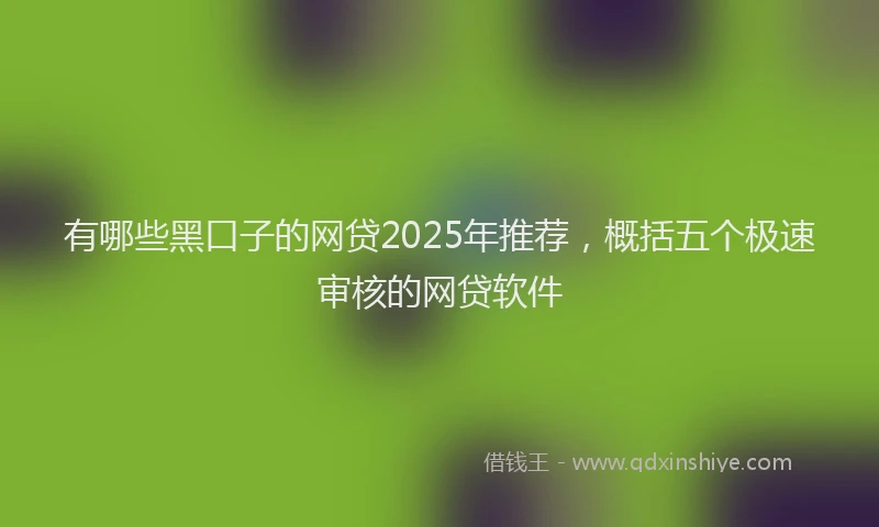 有哪些黑口子的网贷2025年推荐，概括五个极速审核的网贷软件