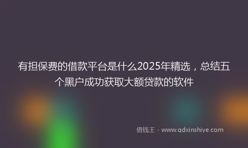 有担保费的借款平台是什么2025年精选，总结五个黑户成功获取大额贷款的软件