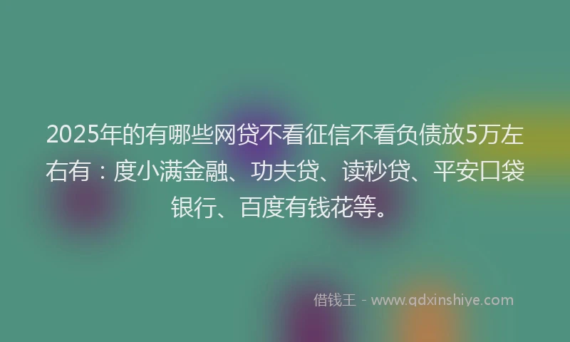 2025年的有哪些网贷不看征信不看负债放5万左右有：度小满金融、功夫贷、读秒贷、平安口袋银行、百度有钱花等。