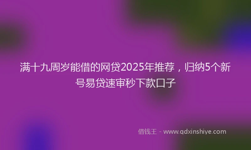 满十九周岁能借的网贷2025年推荐，归纳5个新号易贷速审秒下款口子