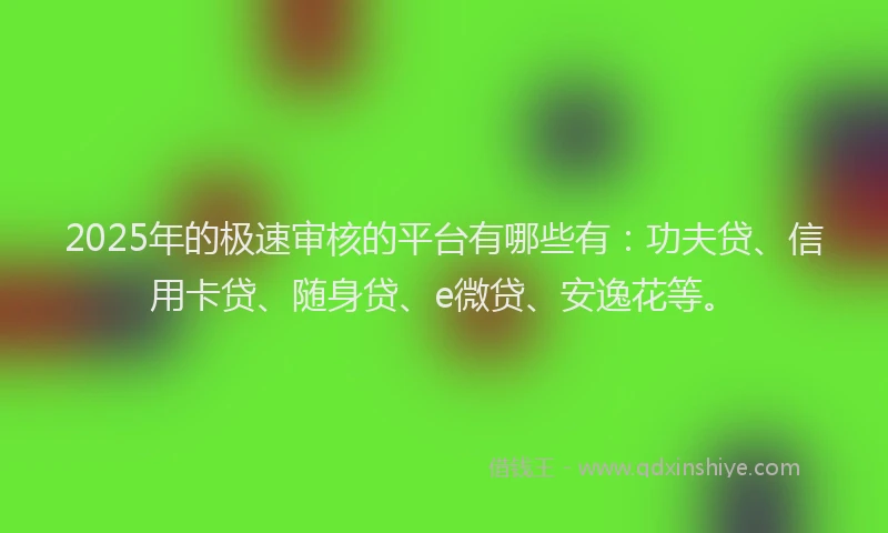 2025年的极速审核的平台有哪些有：功夫贷、信用卡贷、随身贷、e微贷、安逸花等。