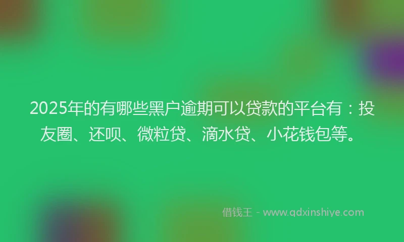 2025年的有哪些黑户逾期可以贷款的平台有：投友圈、还呗、微粒贷、滴水贷、小花钱包等。