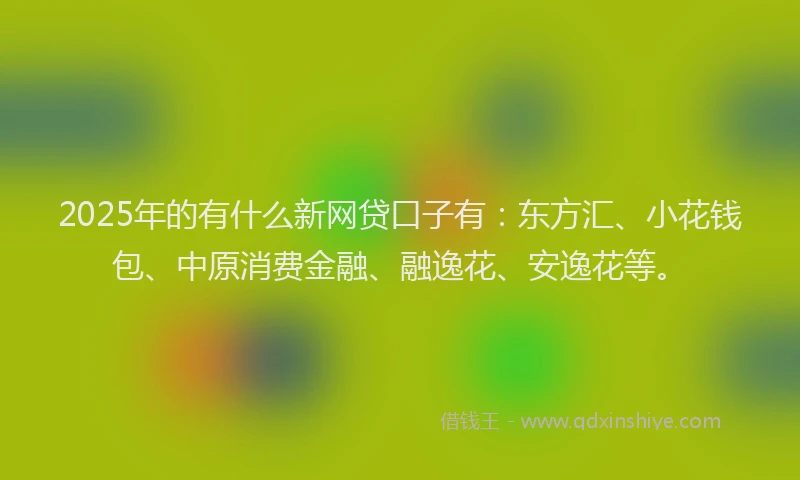 2025年的有什么新网贷口子有：东方汇、小花钱包、中原消费金融、融逸花、安逸花等。
