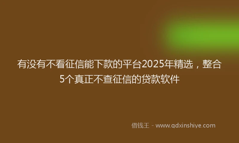 有没有不看征信能下款的平台2025年精选，整合5个真正不查征信的贷款软件