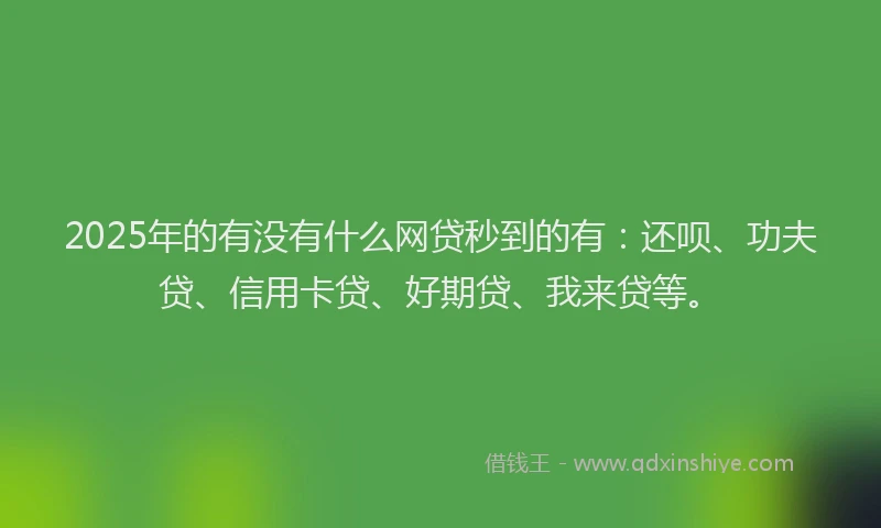 2025年的有没有什么网贷秒到的有：还呗、功夫贷、信用卡贷、好期贷、我来贷等。