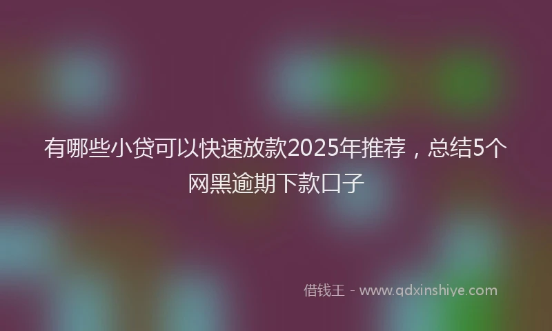 有哪些小贷可以快速放款2025年推荐，总结5个网黑逾期下款口子