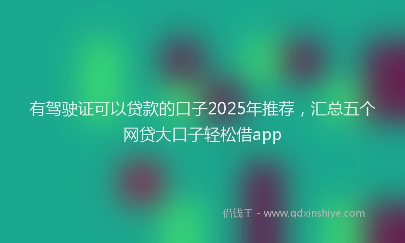 有驾驶证可以贷款的口子2025年推荐，汇总五个网贷大口子轻松借app