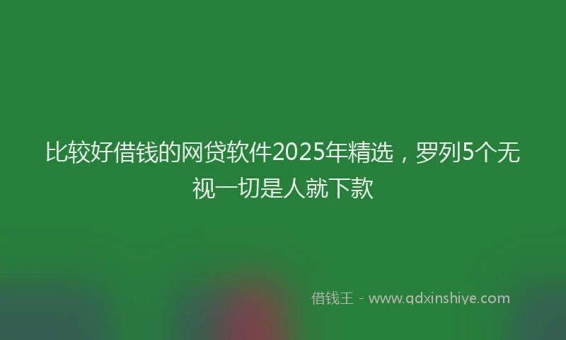 比较好借钱的网贷软件2025年精选，罗列5个无视一切是人就下款