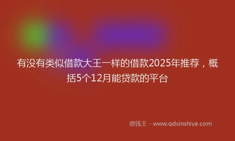 有没有类似借款大王一样的借款2025年推荐，概括5个12月能贷款的平台