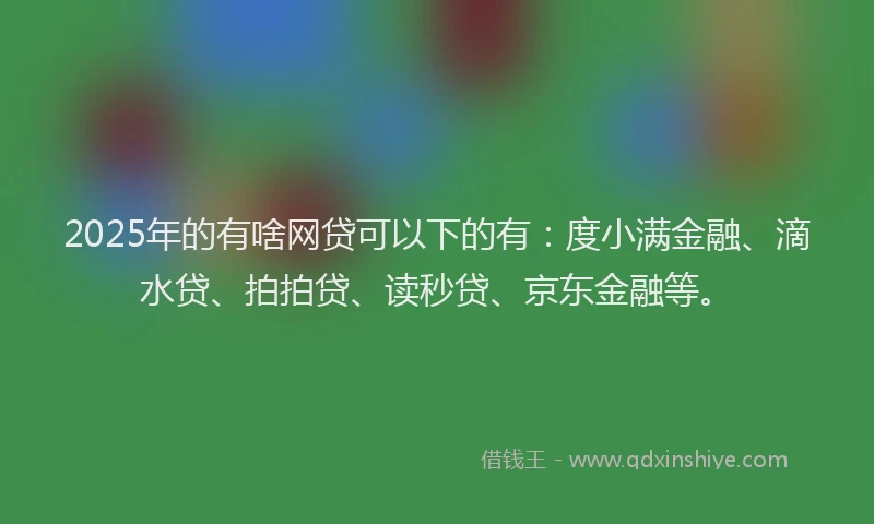 2025年的有啥网贷可以下的有：度小满金融、滴水贷、拍拍贷、读秒贷、京东金融等。
