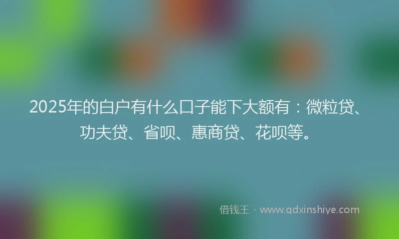 2025年的白户有什么口子能下大额有：微粒贷、功夫贷、省呗、惠商贷、花呗等。