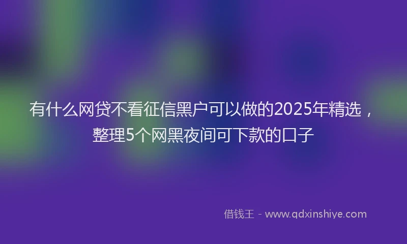 有什么网贷不看征信黑户可以做的2025年精选，整理5个网黑夜间可下款的口子
