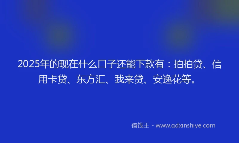 2025年的现在什么口子还能下款有：拍拍贷、信用卡贷、东方汇、我来贷、安逸花等。