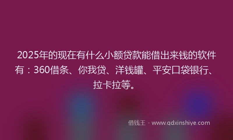 2025年的现在有什么小额贷款能借出来钱的软件有：360借条、你我贷、洋钱罐、平安口袋银行、拉卡拉等。
