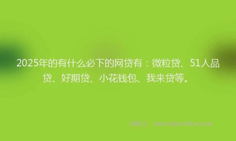 2025年的有什么必下的网贷有：微粒贷、51人品贷、好期贷、小花钱包、我来贷等。