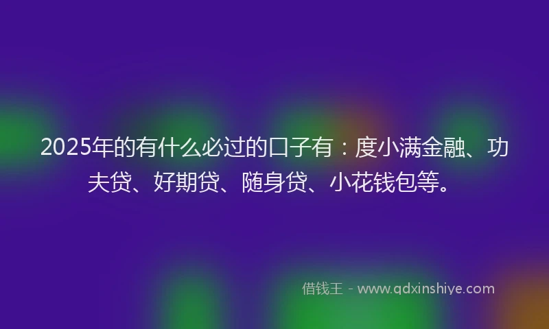 2025年的有什么必过的口子有：度小满金融、功夫贷、好期贷、随身贷、小花钱包等。