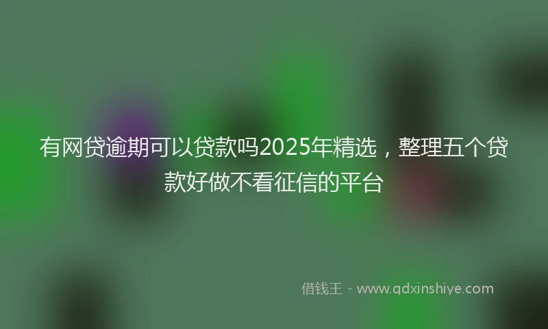 有网贷逾期可以贷款吗2025年精选，整理五个贷款好做不看征信的平台