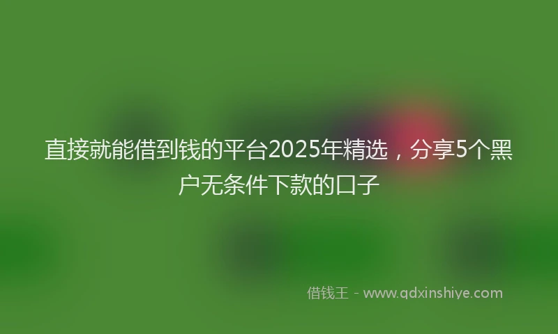 直接就能借到钱的平台2025年精选，分享5个黑户无条件下款的口子