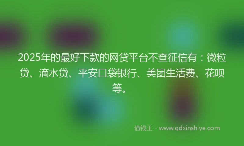 2025年的最好下款的网贷平台不查征信有：微粒贷、滴水贷、平安口袋银行、美团生活费、花呗等。