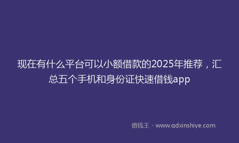 现在有什么平台可以小额借款的2025年推荐，汇总五个手机和身份证快速借钱app
