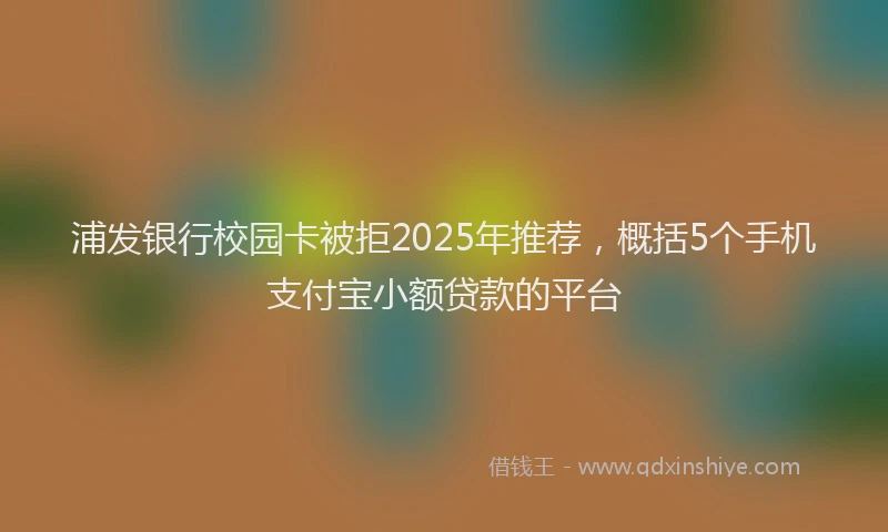 浦发银行校园卡被拒2025年推荐，概括5个手机支付宝小额贷款的平台