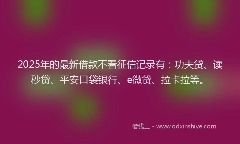 2025年的最新借款不看征信记录有：功夫贷、读秒贷、平安口袋银行、e微贷、拉卡拉等。