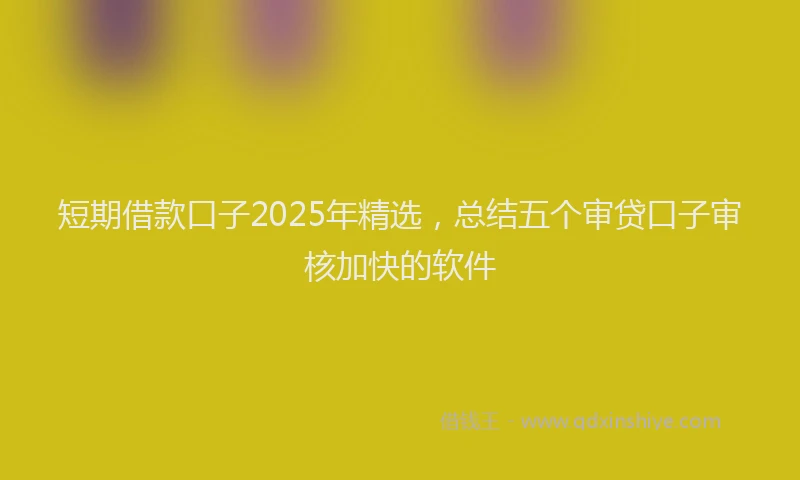 短期借款口子2025年精选，总结五个审贷口子审核加快的软件