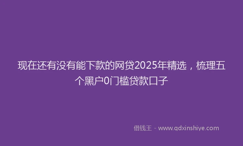 现在还有没有能下款的网贷2025年精选，梳理五个黑户0门槛贷款口子