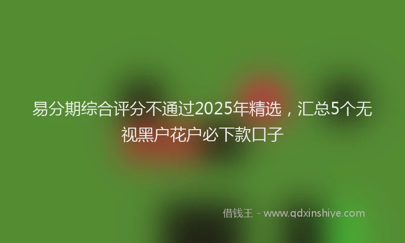 易分期综合评分不通过2025年精选，汇总5个无视黑户花户必下款口子