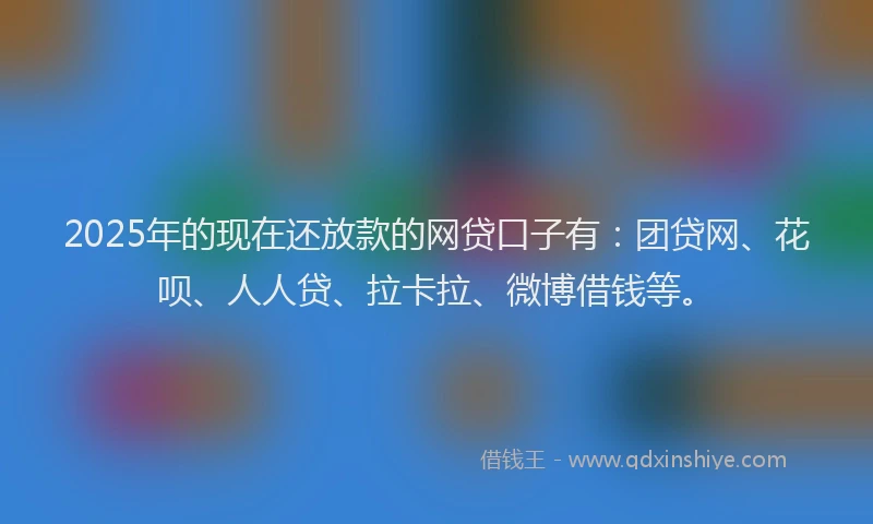 2025年的现在还放款的网贷口子有：团贷网、花呗、人人贷、拉卡拉、微博借钱等。