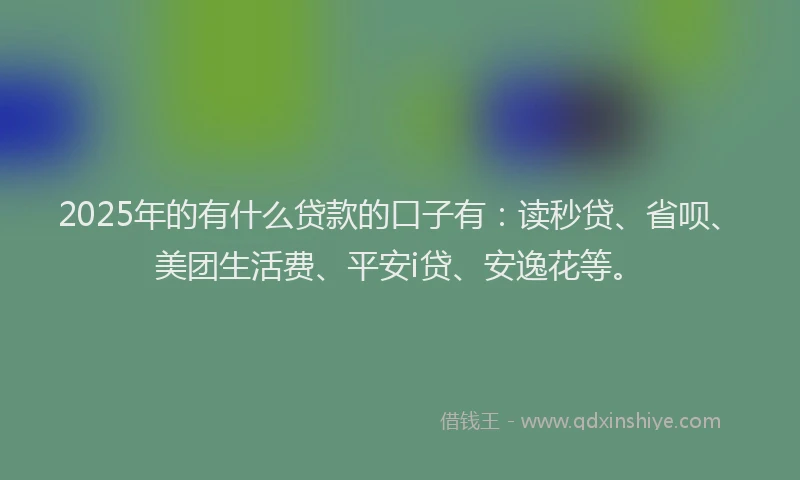 2025年的有什么贷款的口子有：读秒贷、省呗、美团生活费、平安i贷、安逸花等。