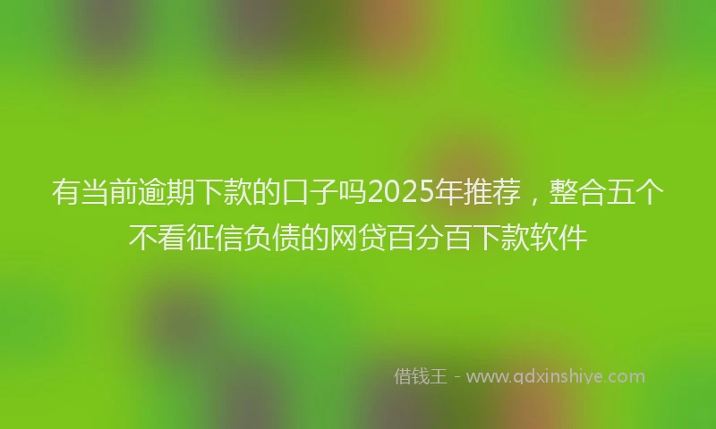 有当前逾期下款的口子吗2025年推荐，整合五个不看征信负债的网贷百分百下款软件