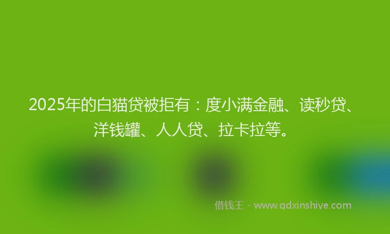 2025年的白猫贷被拒有：度小满金融、读秒贷、洋钱罐、人人贷、拉卡拉等。