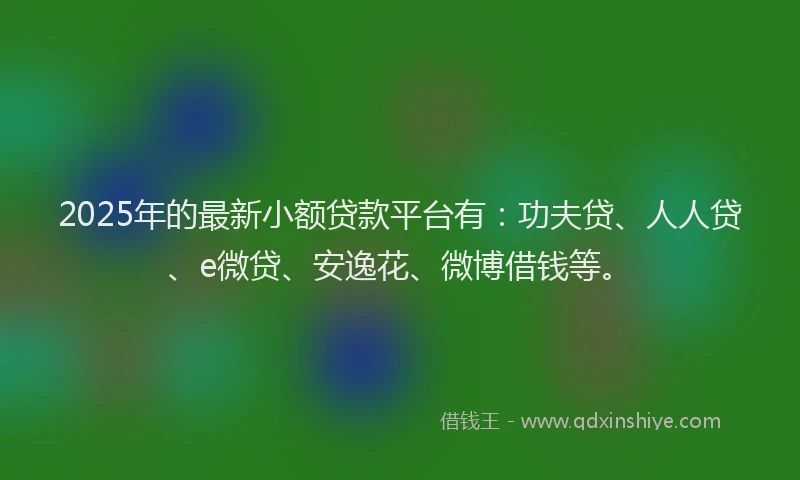 2025年的最新小额贷款平台有：功夫贷、人人贷、e微贷、安逸花、微博借钱等。