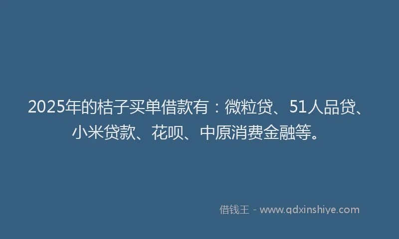 2025年的桔子买单借款有：微粒贷、51人品贷、小米贷款、花呗、中原消费金融等。
