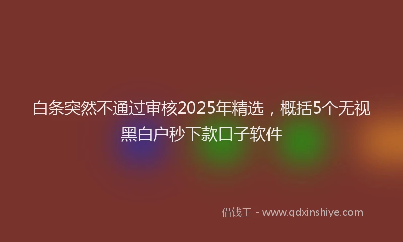白条突然不通过审核2025年精选，概括5个无视黑白户秒下款口子软件