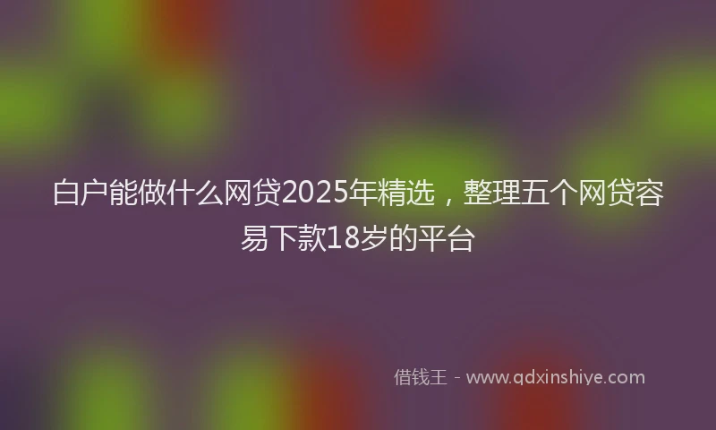 白户能做什么网贷2025年精选，整理五个网贷容易下款18岁的平台