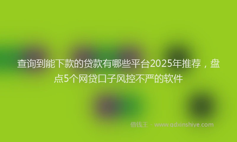 查询到能下款的贷款有哪些平台2025年推荐，盘点5个网贷口子风控不严的软件