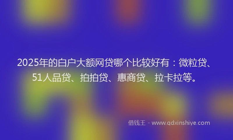 2025年的白户大额网贷哪个比较好有：微粒贷、51人品贷、拍拍贷、惠商贷、拉卡拉等。