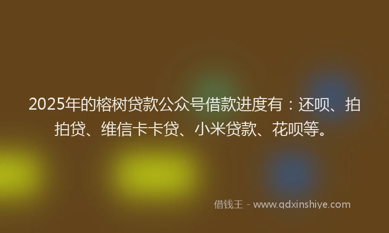2025年的榕树贷款公众号借款进度有：还呗、拍拍贷、维信卡卡贷、小米贷款、花呗等。