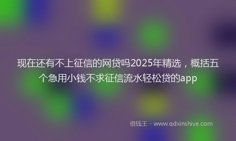现在还有不上征信的网贷吗2025年精选，概括五个急用小钱不求征信流水轻松贷的app