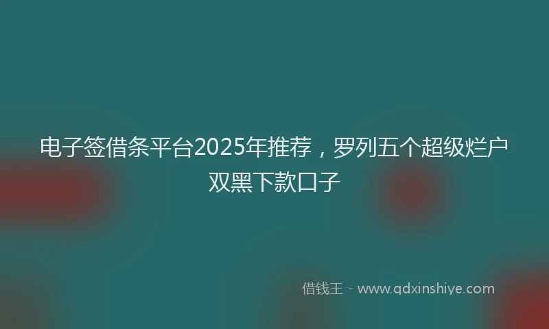 电子签借条平台2025年推荐，罗列五个超级烂户双黑下款口子