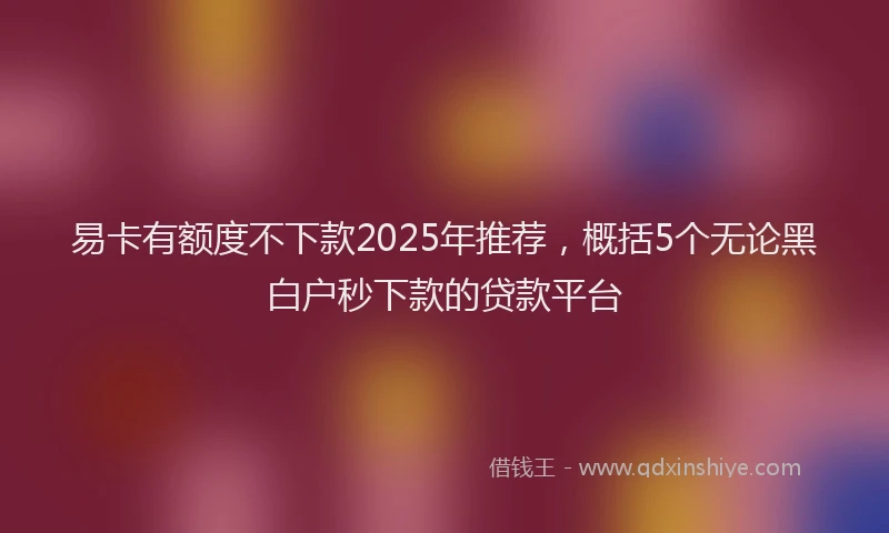 易卡有额度不下款2025年推荐，概括5个无论黑白户秒下款的贷款平台