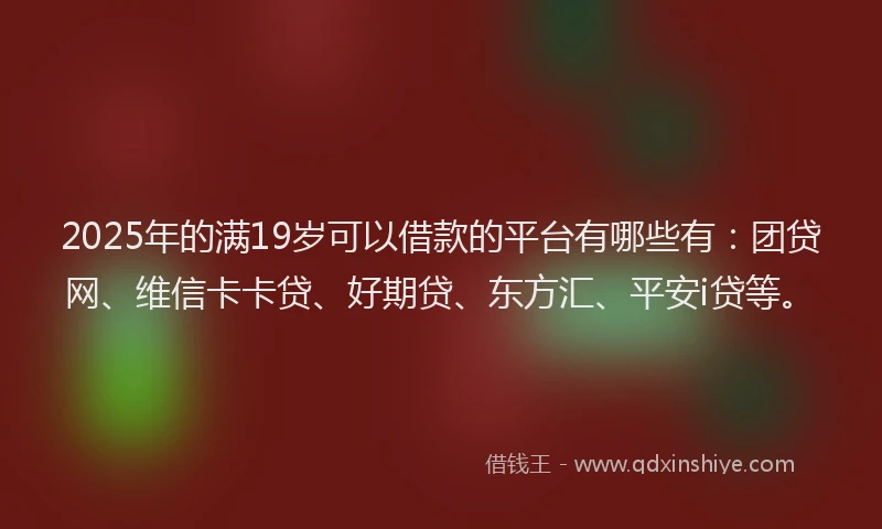 2025年的满19岁可以借款的平台有哪些有：团贷网、维信卡卡贷、好期贷、东方汇、平安i贷等。