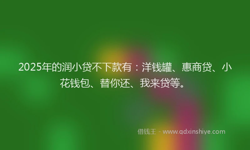 2025年的润小贷不下款有：洋钱罐、惠商贷、小花钱包、替你还、我来贷等。